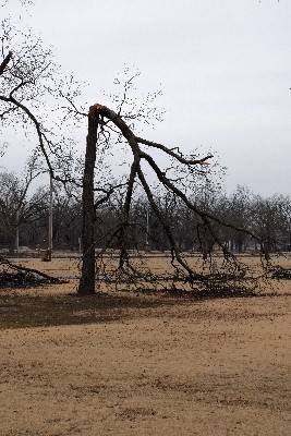 Oak broken Top (1)