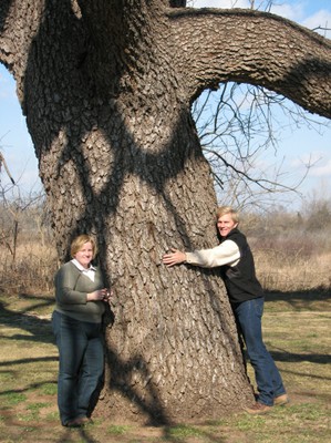 Black Walnut - 1