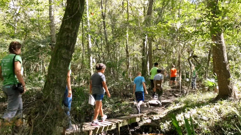 Kids learning in the forest.