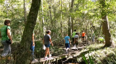 Kids learning in the forest.