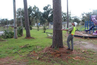 Credit: Georgia Forestry Commission