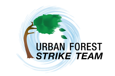 UFST Logo